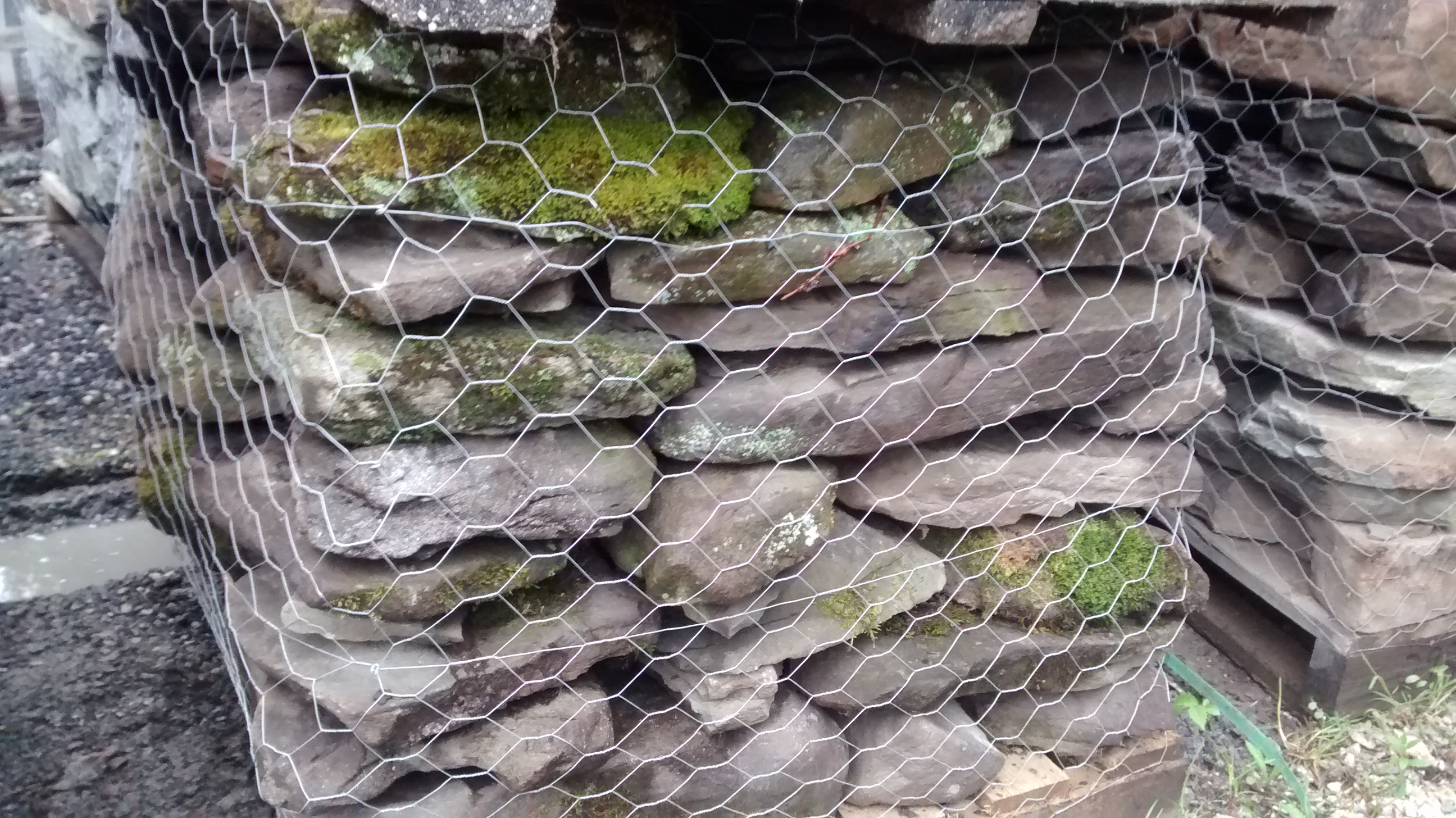 Penn_Wall2.jpg